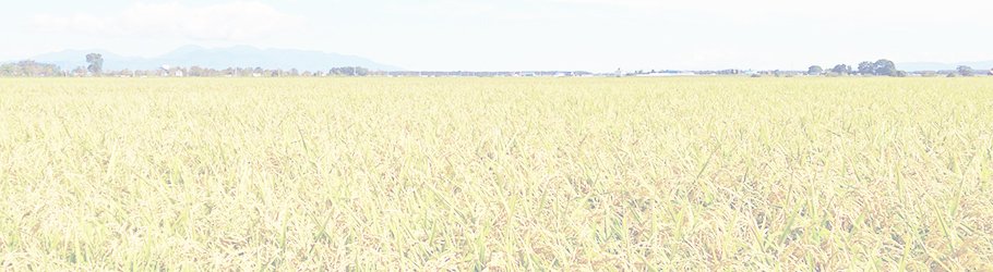 一本の稲穂を与えれば一日食べられる。稲穂の育て方を教えれば一生食べられる